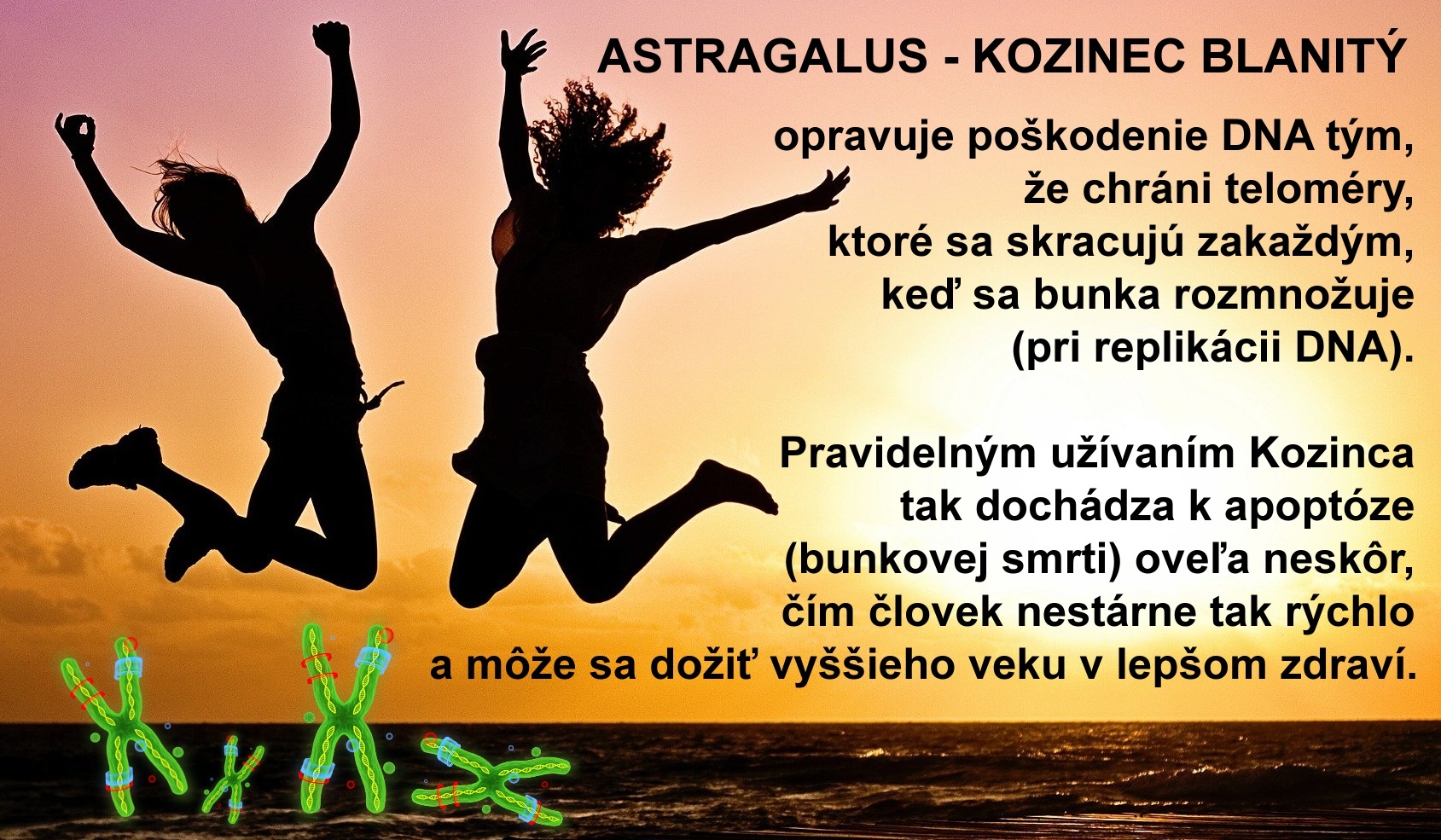astragalus-kozinec-freepixabay