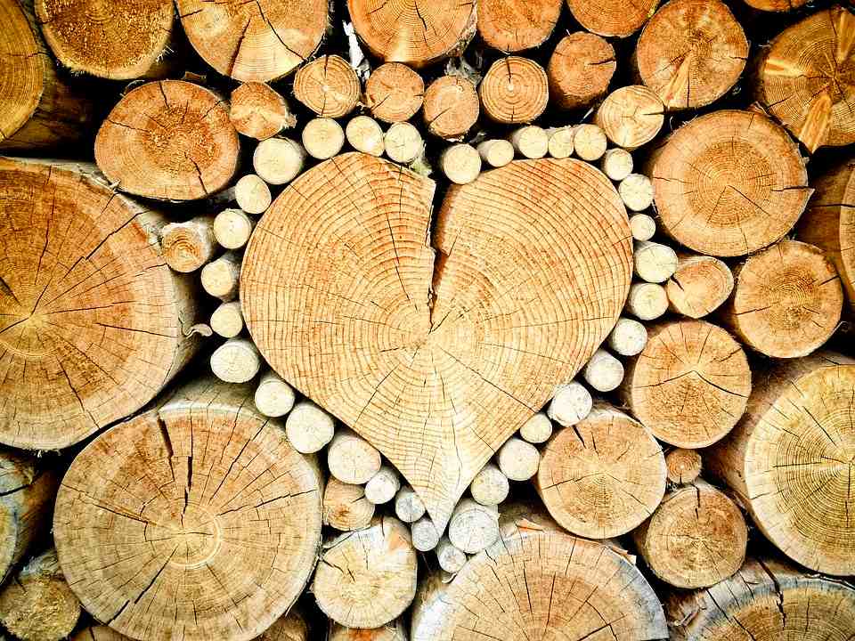 srdce-drevo-pixabay-1288420_960_720.jpg