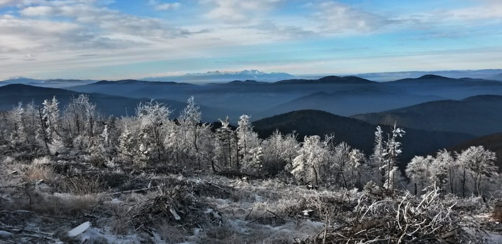 Zimná krajinka - foto EZOpress