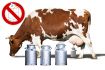 krava-dojnica-vemeno-konvice-tetrapack-freepixabay