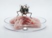 nanorobot